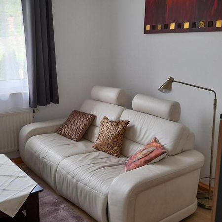 Ferienwohnung Christel Hirschhorn-Neckar Zewnętrze zdjęcie