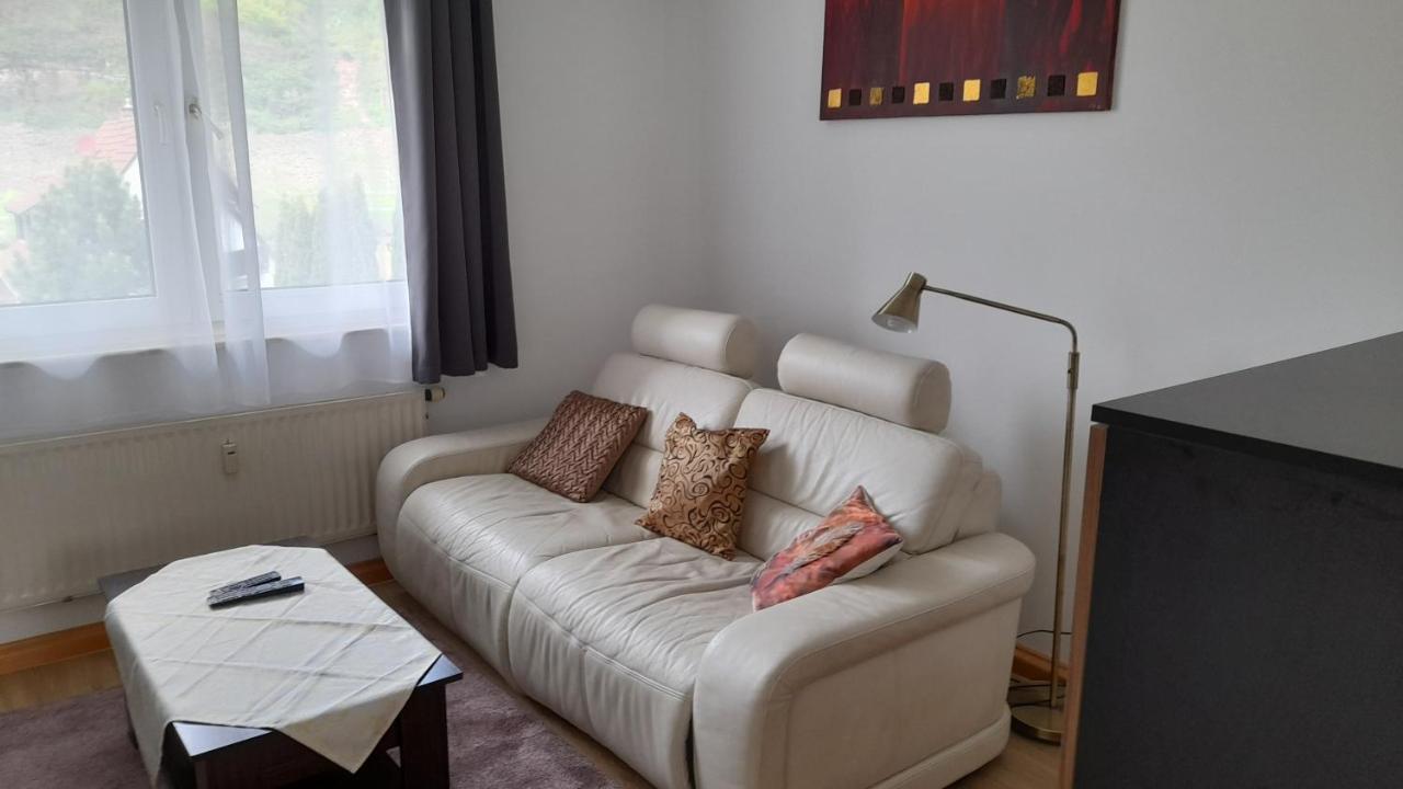 Ferienwohnung Christel Hirschhorn-Neckar Zewnętrze zdjęcie