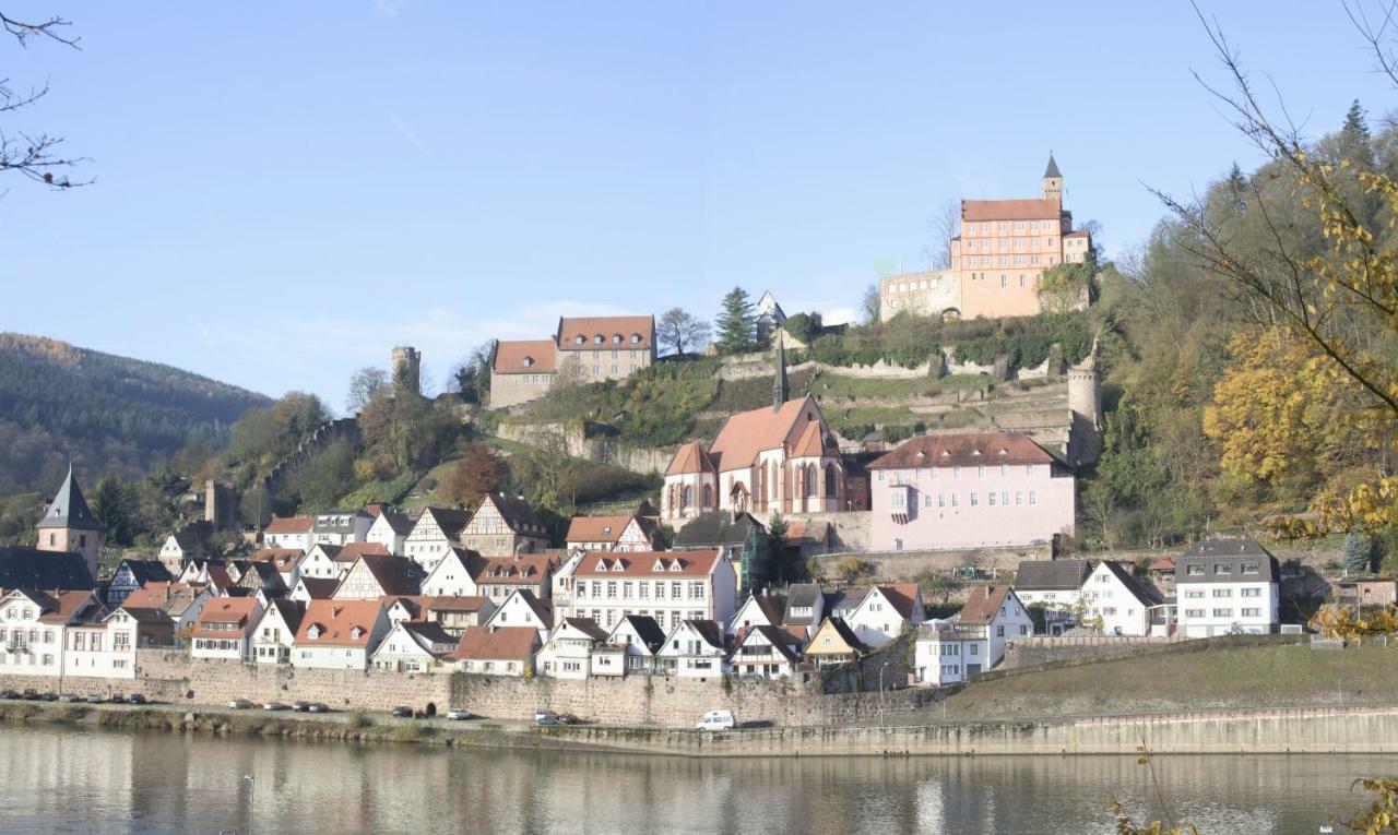 Ferienwohnung Christel Hirschhorn-Neckar Zewnętrze zdjęcie