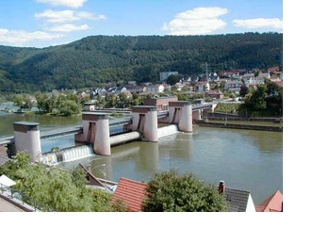 Ferienwohnung Christel Hirschhorn-Neckar Zewnętrze zdjęcie